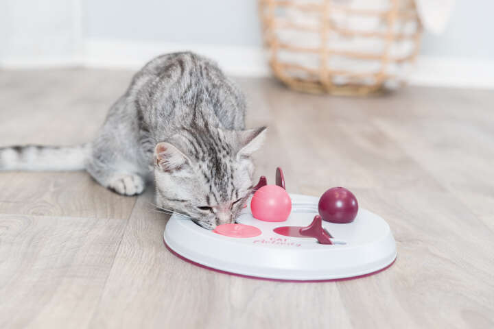 TRIXIE Katzenspiel Cat Activity Flip Board